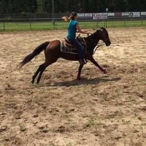 Meet your Posher, Lora